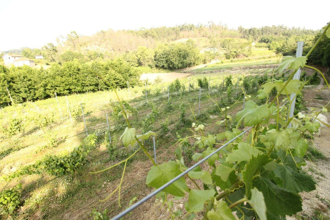 Quinta D'Areda Wine&Pool Experience Guest House Фафе Екстериор снимка